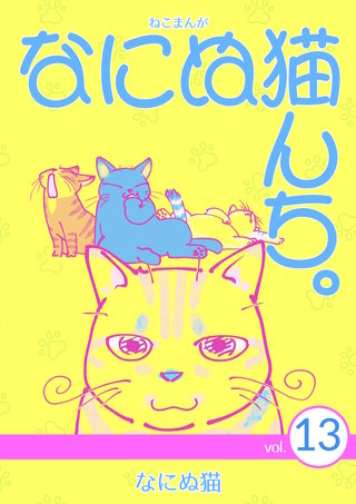 vol.13