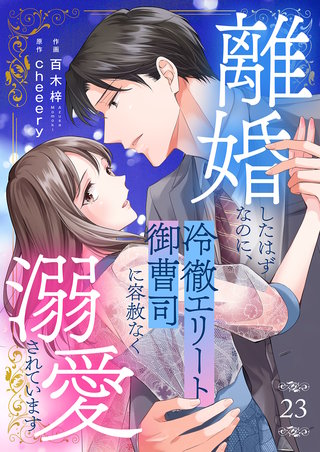 離婚したはずなのに、冷徹エリート御曹司に容赦なく溺愛されています２３