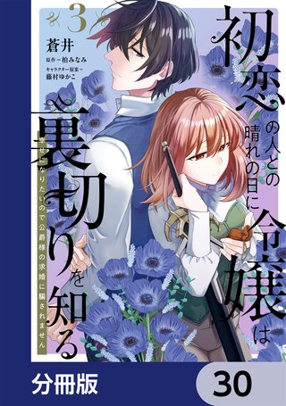 初恋の人との晴れの日に令嬢は裏切りを知る【分冊版】　30