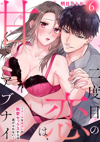 二度目の恋は、甘くてアブナイ～クールな元カレの執愛セックスからは逃げられない～(6)