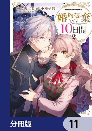 婚約破棄までの10日間【分冊版】　11