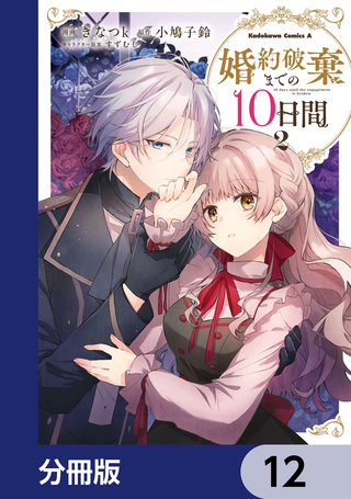 婚約破棄までの10日間【分冊版】　12