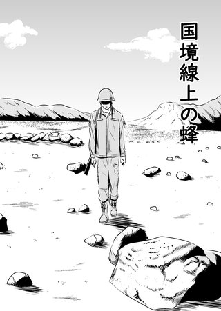 国境線上の蜂