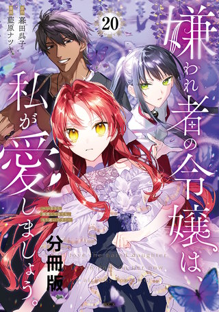嫌われ者の令嬢は、私が愛しましょう。～いまさら溺愛してきても、もう遅いです！～ 分冊版(20)