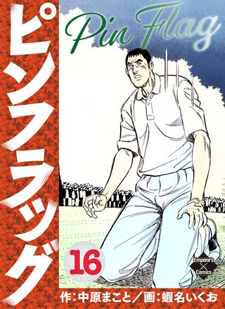 ピンフラッグ 16