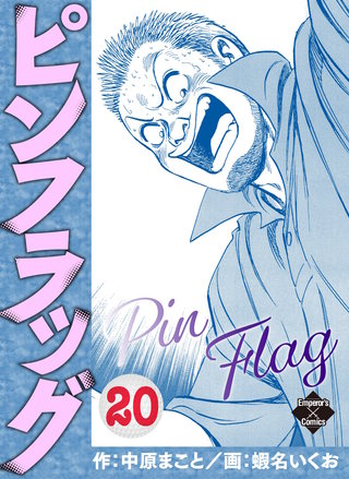 ピンフラッグ 20