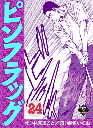 ピンフラッグ 24