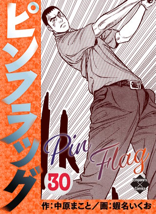 ピンフラッグ 30