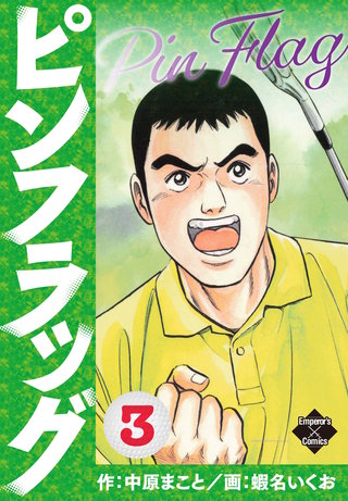 ピンフラッグ 3