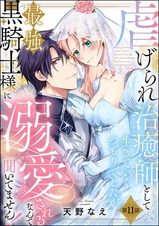 虐げられ治癒師として生きていくつもりでしたが最強黒騎士様に溺愛されるなんて聞いてません！（分冊版）【第11話】