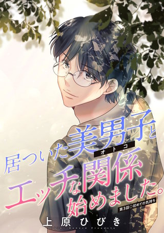 居ついた美男子（オトコ）とエッチな関係始めました。 分冊版(3)