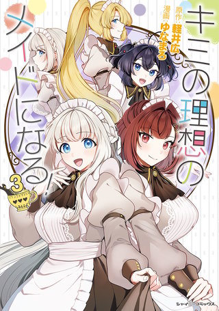 キミの理想のメイドになる！ 3