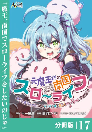 元魔王様の南国スローライフ～部下に裏切られたので、モフモフ達と楽しくスローライフするのじゃ～【分冊版】（ノヴァコミックス）(17)