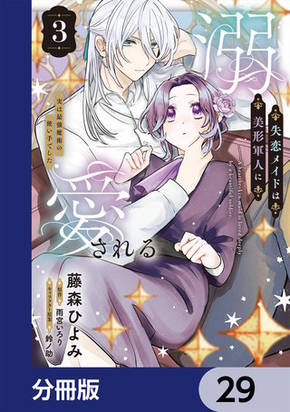 失恋メイドは美形軍人に溺愛される【分冊版】　29
