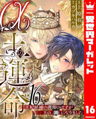 α王の運命～王妃候補の護衛のはずが王の番になりました～ 16