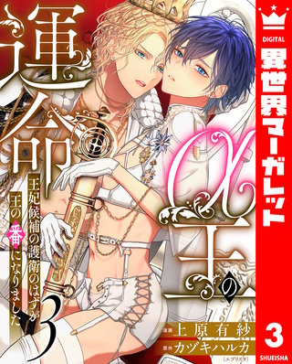 α王の運命～王妃候補の護衛のはずが王の番になりました～ 3