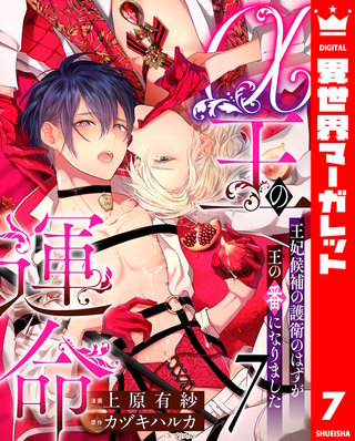 α王の運命～王妃候補の護衛のはずが王の番になりました～ 7