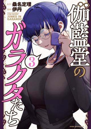 伽藍堂のガラクタたち(3)