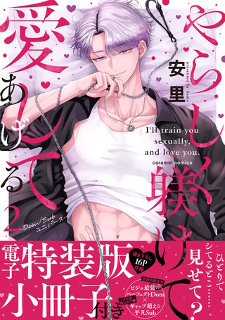 やらしく躾けて愛してあげる－Dom／Subユニバース－【単行本版／電子特装版小冊子付き】