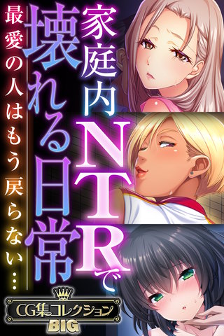 家庭内NTRで壊れる日常 ～最愛の人はもう戻らない…～【CG集コレクションBIG】
