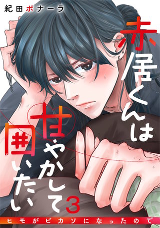 赤居くんは甘やかして囲いたい～ヒモがピカソになったので～(3)