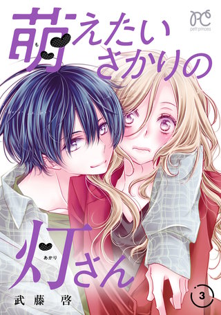 萌えたいさかりの灯さん(3)