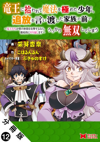 竜王に拾われて魔法を極めた少年、追放を言い渡した家族の前でうっかり無双してしまう～兄上たちが僕の仲間を攻撃するなら、徹底的にやり返します～(コミック) 分冊版(12)