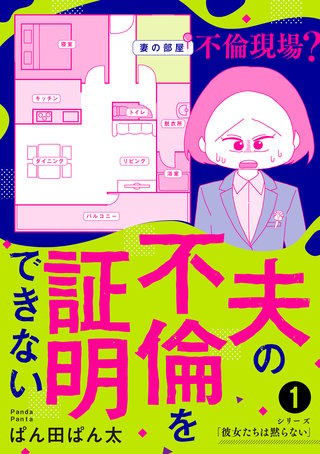 夫の不倫を証明できない