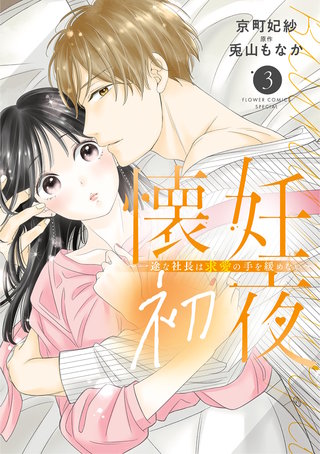 懐妊初夜～一途な社長は求愛の手を緩めない～(3)