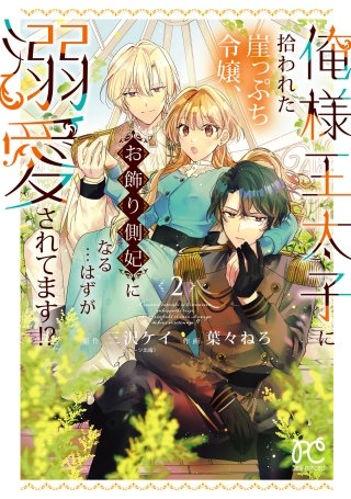 俺様王太子に拾われた崖っぷち令嬢、お飾り側妃になる…はずが溺愛されてます!?(2)