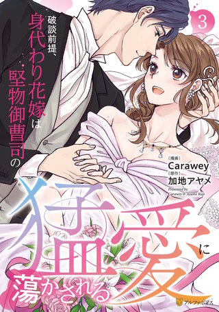 破談前提、身代わり花嫁は堅物御曹司の猛愛に蕩かされる(3)