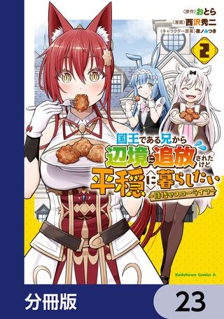 国王である兄から辺境に追放されたけど平穏に暮らしたい ～目指せスローライフ～【分冊版】　23
