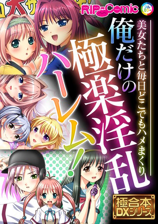 俺だけの極楽淫乱ハーレム！ ～美女たちと毎日どこでもハメまくり～【極合本DXシリーズ】