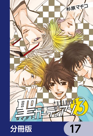 聖ガーディアン【分冊版】　17