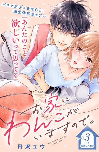 お家にわんこがいますので。 分冊版(3)
