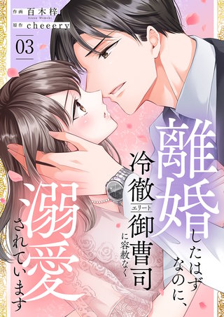 離婚したはずなのに、冷徹エリート御曹司に容赦なく溺愛されています【電子単行本版】３