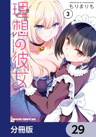 理想の彼女【分冊版】　29