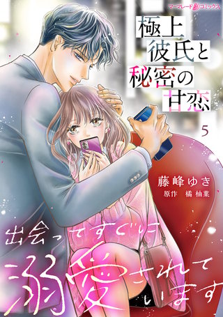極上彼氏と秘密の甘恋～出会ってすぐに溺愛されています～【分冊版】5話