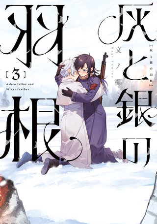 灰と銀の羽根(3)