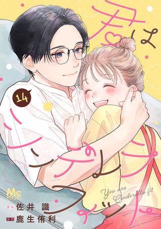 君はシンデレラフィット 14