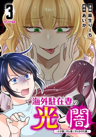 海外駐在妻の光と闇～シタ妻とサレ妻とサレかけた妻～(3)