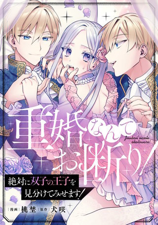 重婚なんてお断り！ 絶対に双子の王子を見分けてみせます！（分冊版）(14)