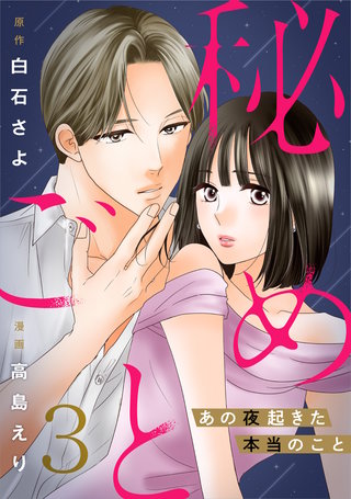 秘めごと～あの夜起きた本当のこと～(3)