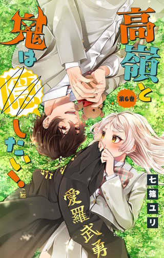 高嶺と鬼は隠したい！【マイクロ】(6)