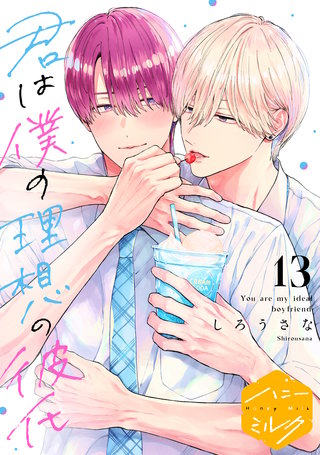 君は僕の理想の彼氏 分冊版(13)