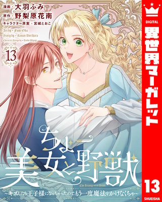 ちょー美女と野獣～キスしたら王子様になっちゃったので、もう一度魔法をかけなくちゃ～ 13
