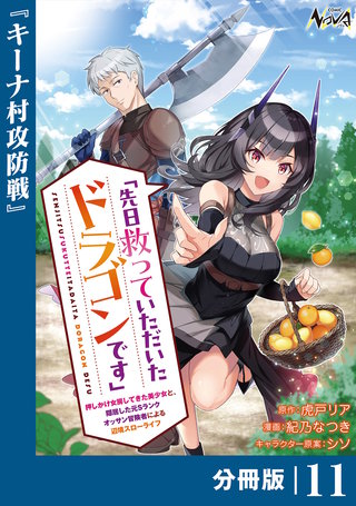 先日救っていただいたドラゴンです【分冊版】（ノヴァコミックス）(11)
