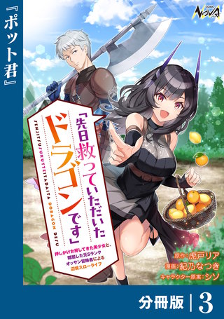 先日救っていただいたドラゴンです【分冊版】（ノヴァコミックス）(3)