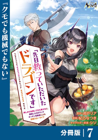 先日救っていただいたドラゴンです【分冊版】（ノヴァコミックス）(7)