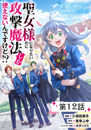 聖女様になりたいのに攻撃魔法しか使えないんですけど!? 第12話【単話版】
